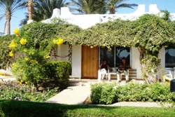 Hotel Shams Safaga - Red Sea. Bungalow.